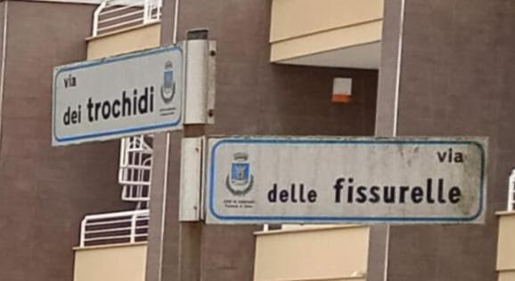 Il Focolare Bed & Breakfast Focene Luaran gambar